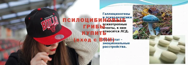 мет Пестово