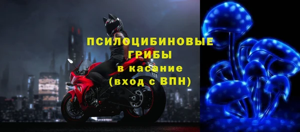 героин Пересвет