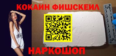 стаф Гай