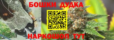 стаф Гай
