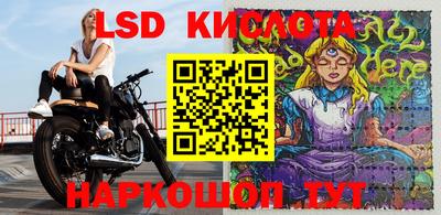 крисы Гагарин