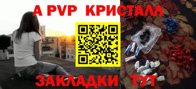 спиды Гатчина