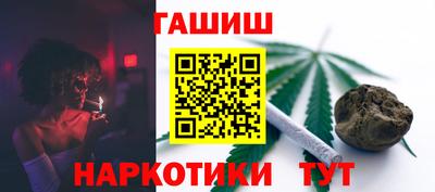 спиды Гатчина