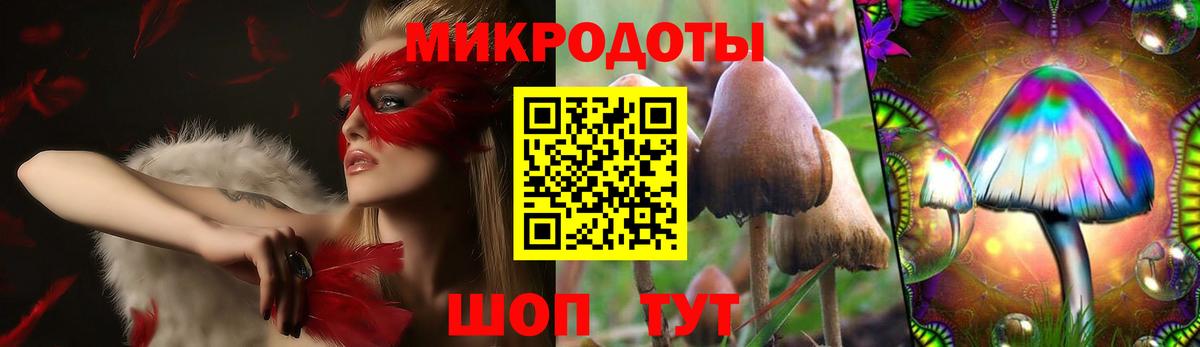 Светлоград  Псилоцибиновые грибы MAGIC MUSHROOMS  Галлюциногенные грибы Psilocybine cubensis  Вход с VPN 