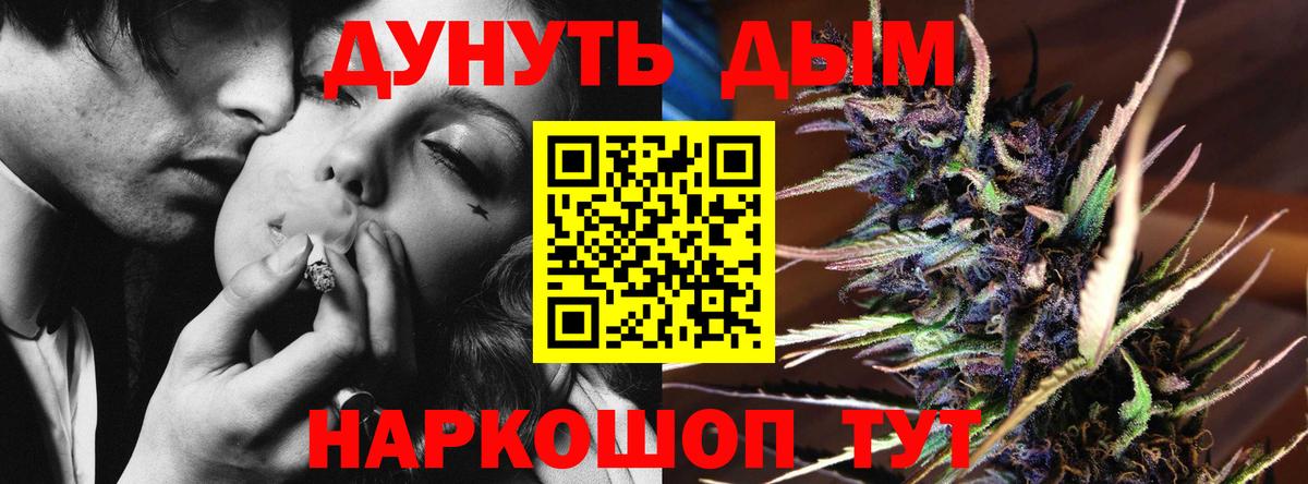 Шишки марихуана сатива Светлоград